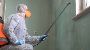 Best Biohazard Mold Removal  in Topeka, KS