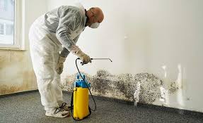 Professional Mold Remediation in Topeka, KS